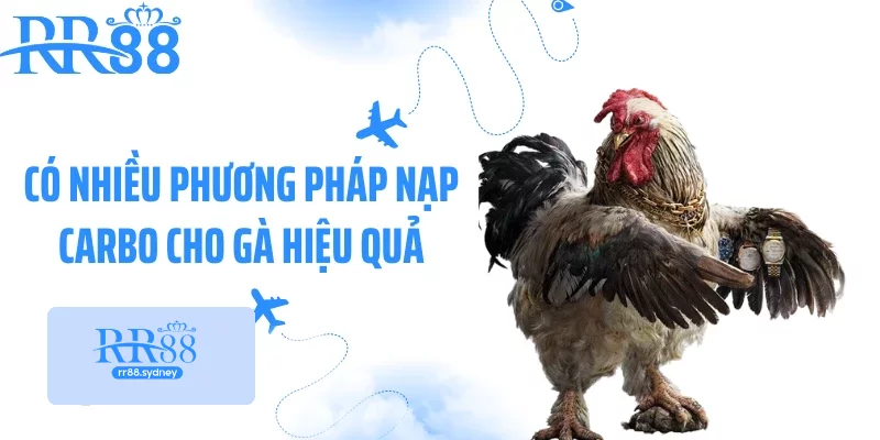 Có nhiều phương pháp nạp Carbo cho gà hiệu quả Có nhiều phương pháp nạp Carbo cho gà hiệu quả