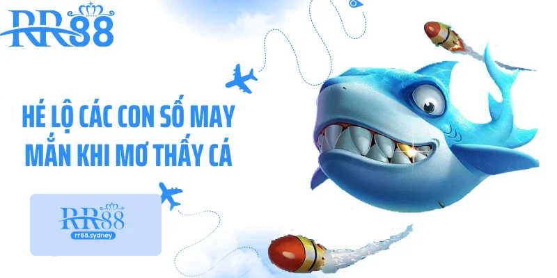 Hé lộ các con số may mắn khi mơ thấy cá Hé lộ các con số may mắn khi mơ thấy cá