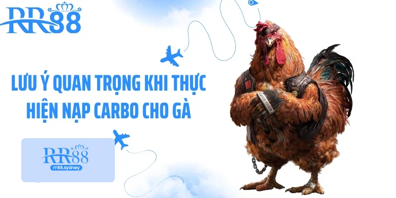 Lưu ý quan trọng khi thực hiện nạp Carbo cho gà Lưu ý quan trọng khi thực hiện nạp Carbo cho gà