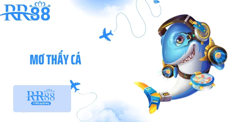 Mơ Thấy Cá - Con Số May Mắn Khi Chiêm Bao Thấy Cá