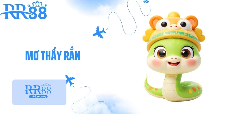Mơ Thấy Rắn - Giải Mã Điềm Báo Đằng Sau Giấc Mơ