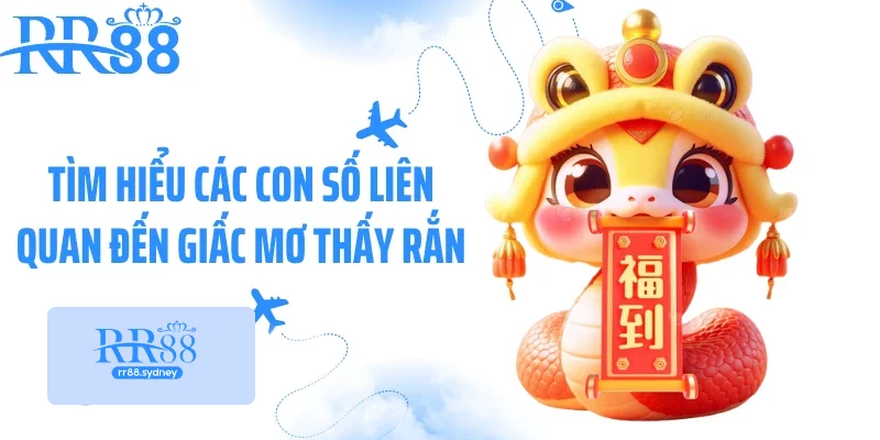 Tìm hiểu các con số liên quan đến giấc mơ thấy rắn Tìm hiểu các con số liên quan đến giấc mơ thấy rắn